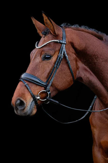 Handcrafted Leather Horse Bridle - Bwok limited