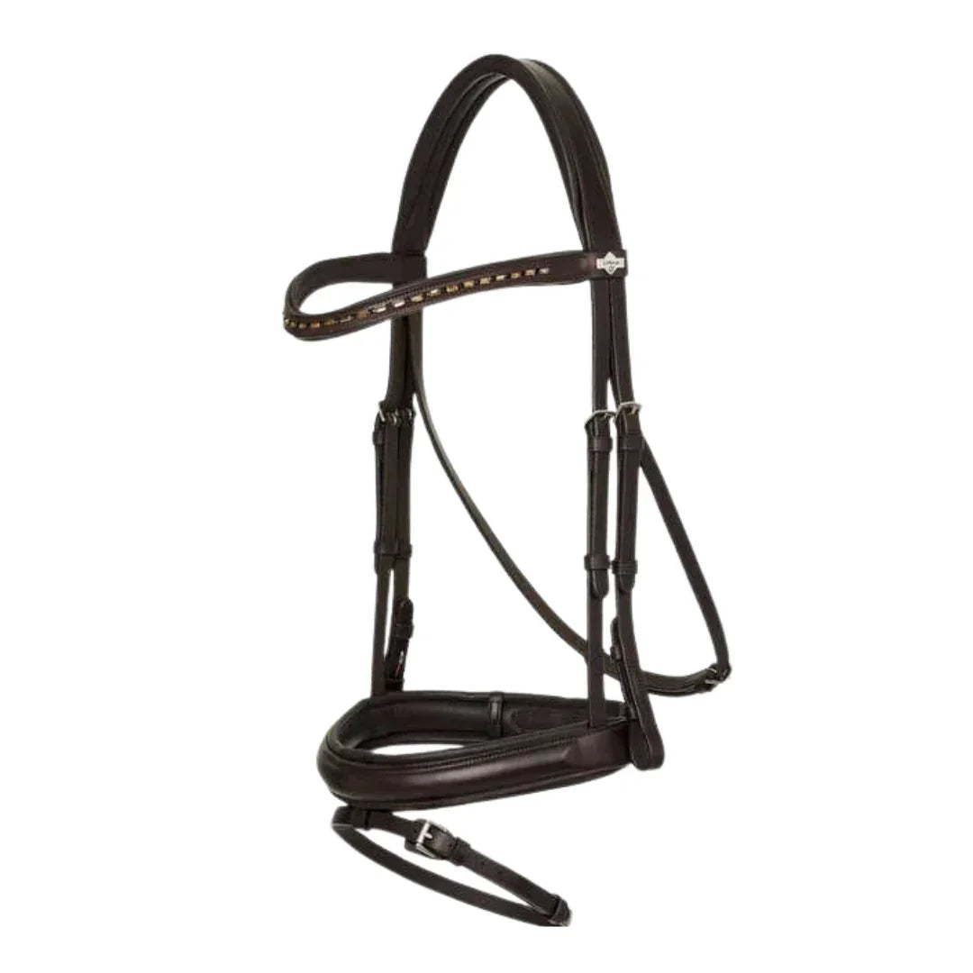 Premium Leather Horse Bridle